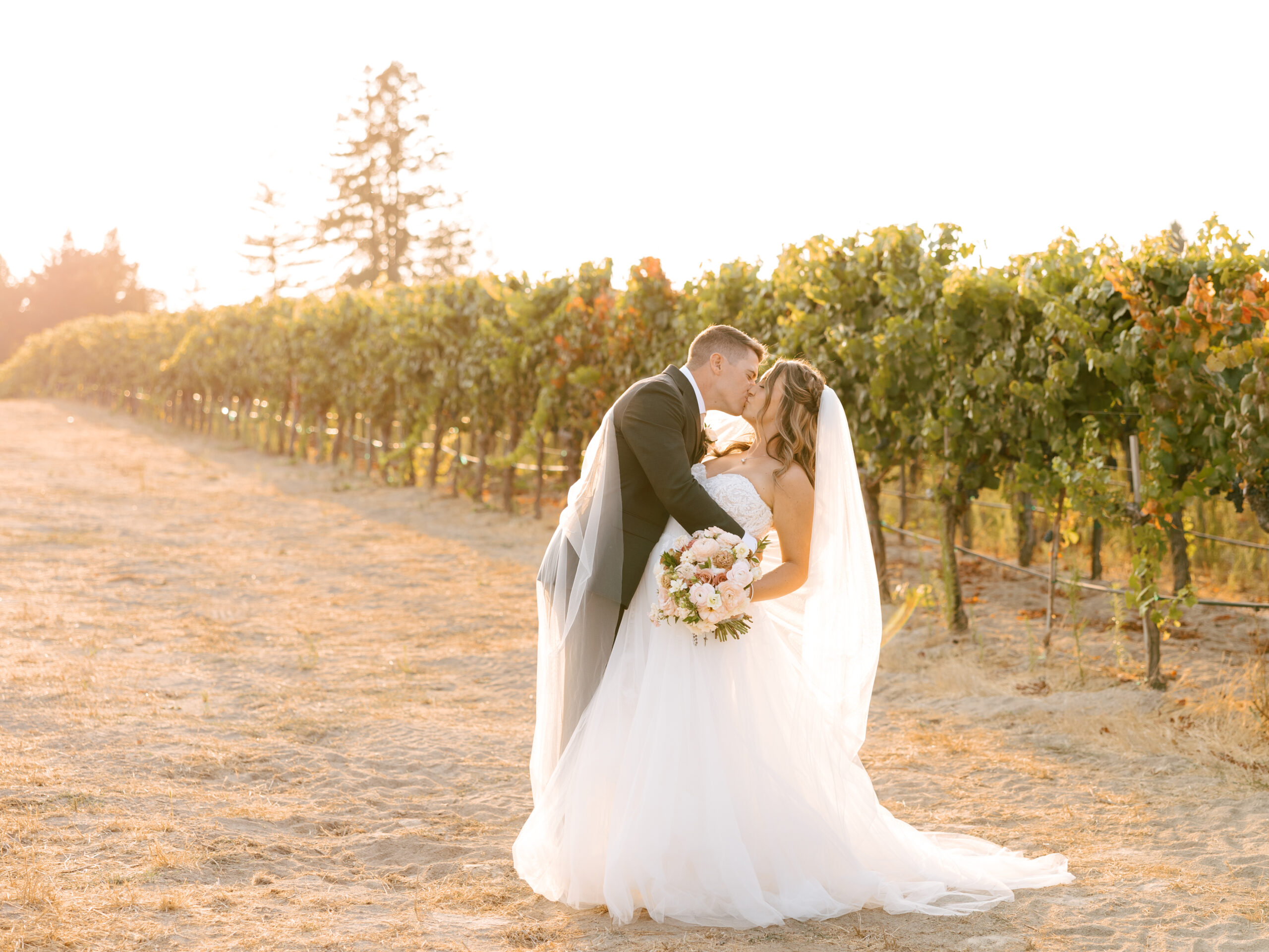 vineyard napa valley wedding sunset kiss